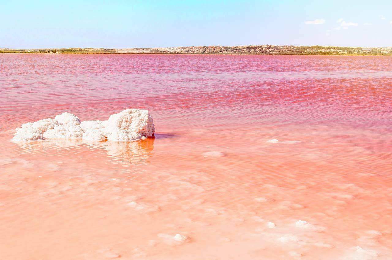 Torrevieja pink lake